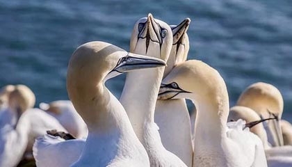 微密圈盘点：猛料最少99%的人都误会了，大V上榜理由极其令人震惊