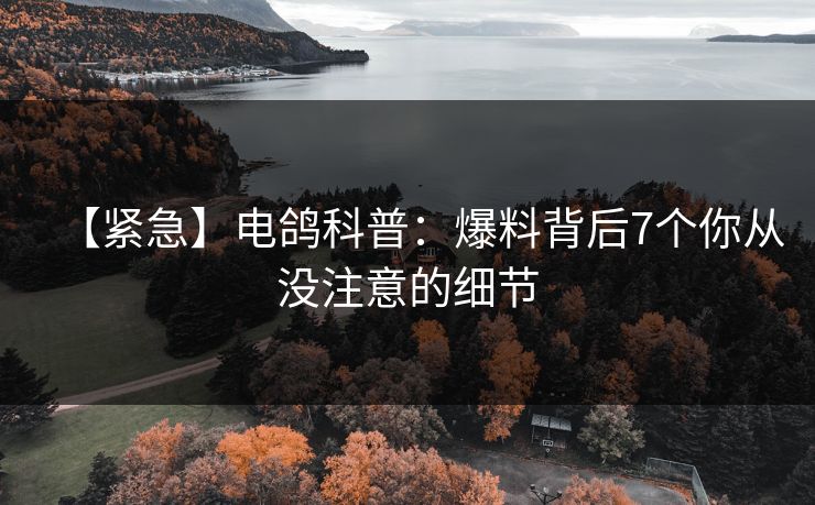 【紧急】电鸽科普：爆料背后7个你从没注意的细节