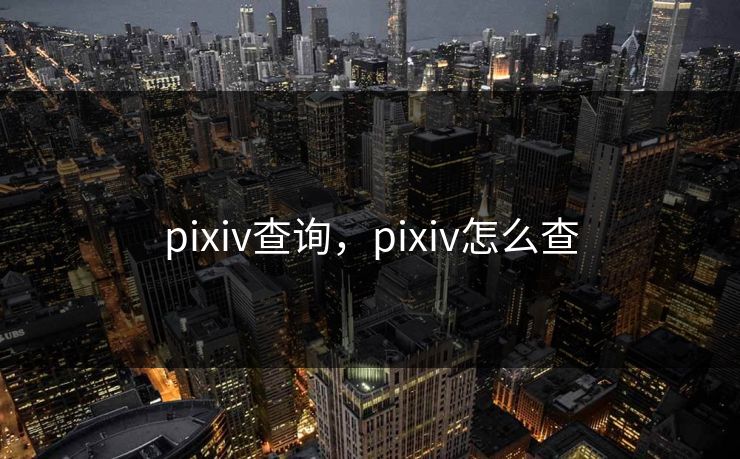 pixiv查询，pixiv怎么查