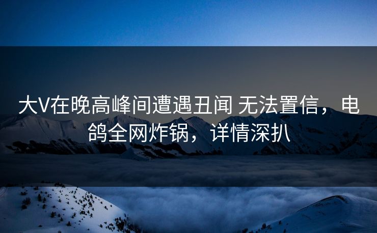 大V在晚高峰间遭遇丑闻 无法置信，电鸽全网炸锅，详情深扒