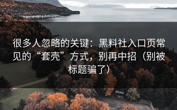 很多人忽略的关键：黑料社入口页常见的“套壳”方式，别再中招（别被标题骗了）